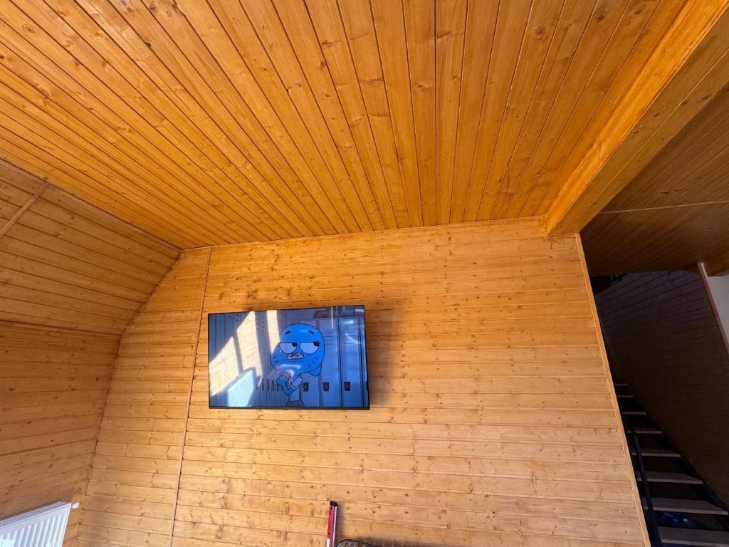 Mansarda cu TV