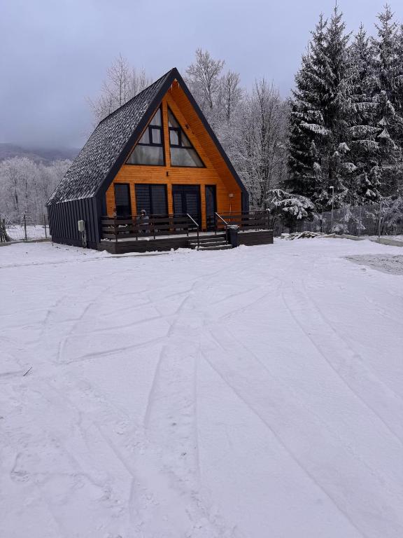 Iarna, cabana devine poveste